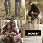 bogs