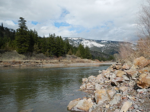 a river runs through it blackfoot river montana