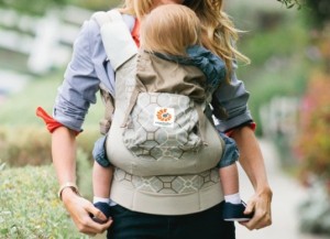 Ergo Organic Carrier