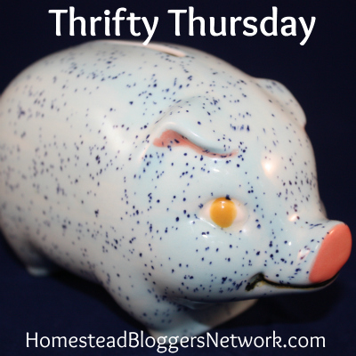 Thrifty Thursday Linkup