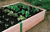 Mary's Heirloom Seeds Family Garden Pack